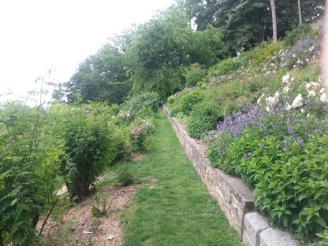 Gardens on Fourviere hill